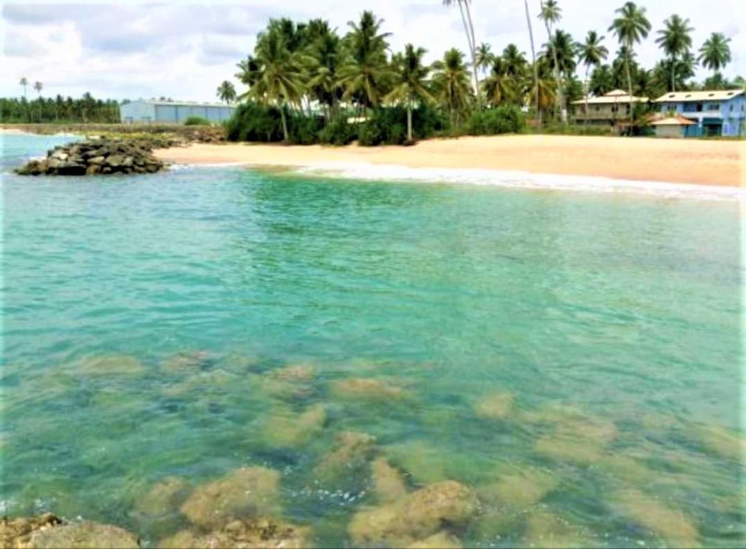 Sea Shell Villa Hikkaduwa 2 Separate Cabanas Ocean Front Villa Eksteriør billede